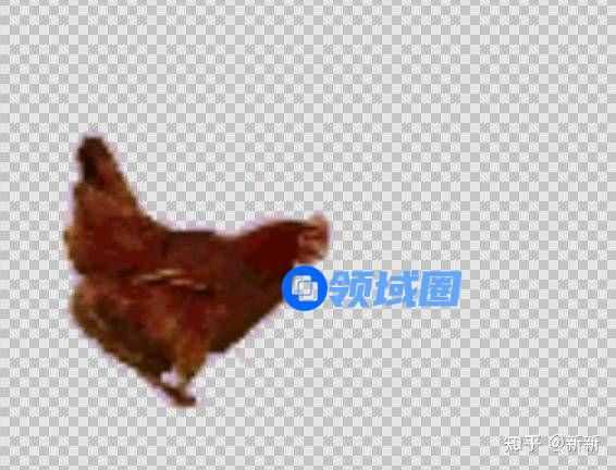 抖音养鸡表情包动图分享 养鸡表情包动图大全[多图]