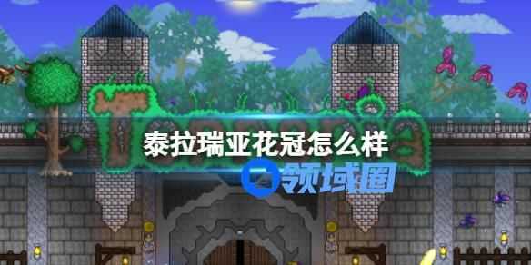 泰拉瑞亚花冠怎么样 泰拉瑞亚花冠装备介绍