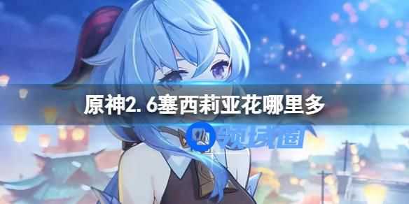 原神塞西莉亚花哪里多 原神塞西莉亚花怎么样