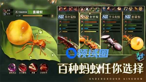 小小蚁国区域战攻略怎么玩 小小蚁国区域战攻略