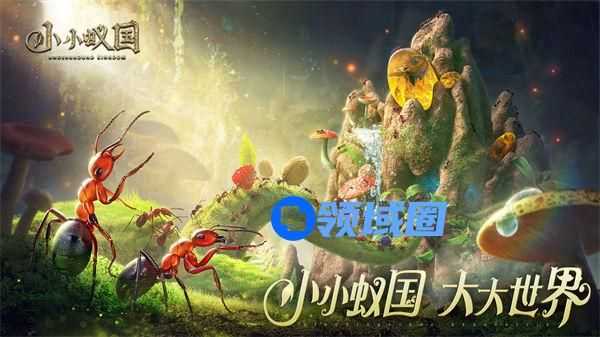 小小蚁国坚固强攻队怎么样 小小蚁国坚固强攻队强度分析一览