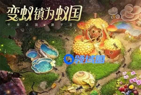 小小蚁国强攻入侵队强度怎么样 小小蚁国强攻入侵队强度解析