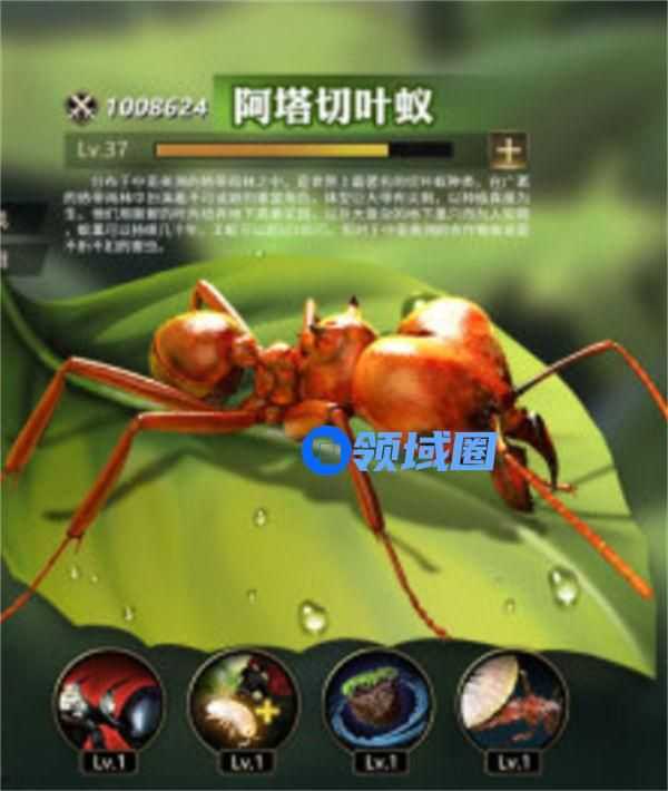 小小蚁国特化蚁培养新手建议一览 小小蚁国特化蚁怎么培养