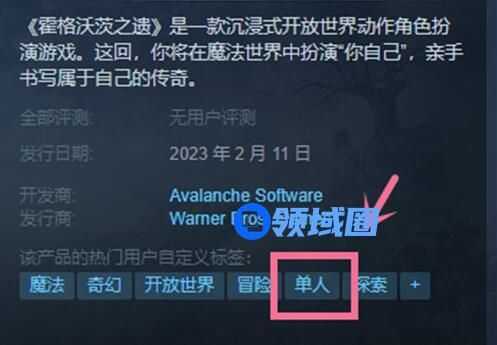 霍格沃茨之遗可以联机吗 霍格沃茨之遗怎么联机