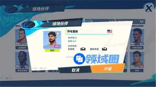 全明星街球派对东契奇队友怎么搭配好 全明星街球派对东契奇队友选择推荐