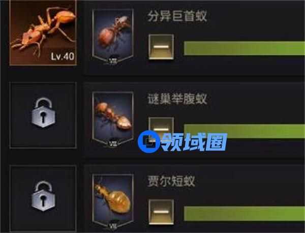 小小蚁国兵蚁怎么培养 小小蚁国兵蚁培养路线一览