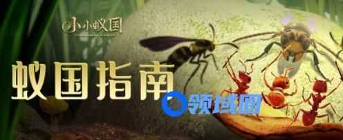 小小蚁国新手开局怎么发展 小小蚁国新手开局发展攻略一览