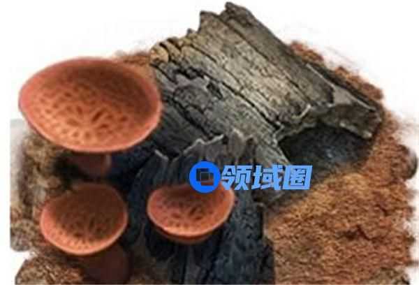 小小蚁国工蚁有什么用 小小蚁国工蚁作用一览