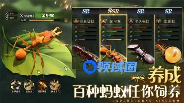 小小蚁国特化蚁搭配推荐 小小蚁国特化蚁怎么搭配