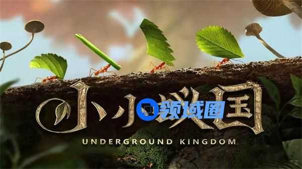 小小蚁国新手怎么搬砖 小小蚁国新手搬砖攻略一览