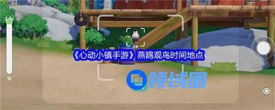 心动小镇手游燕鸥在哪里看 燕鸥观鸟时间指南