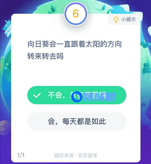 向日葵会一直跟着太阳的方向转来转去吗