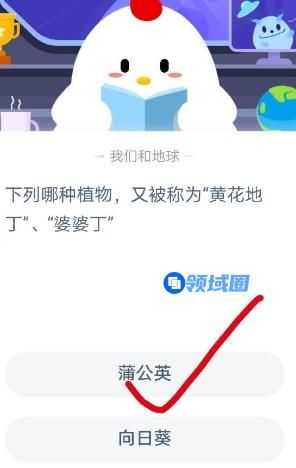 庄园小课堂今天答案下列哪种植物又被称为黄花地丁婆婆丁