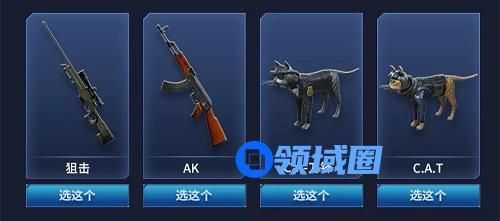 CF网剧苏佳意的武器是什么