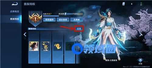 王者荣耀贵族V10怎么共享皮肤给别人