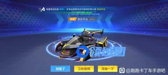 跑跑卡丁车手游黑色甲虫怎么加点