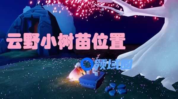 光遇云野小树苗位置在哪