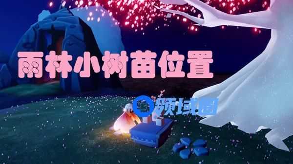 光遇雨林小树苗位置在哪