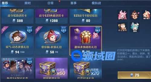 王者荣耀表情是永久的吗