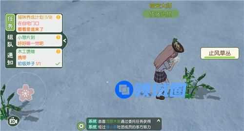 小森生活止风草位置在哪里刷新时间