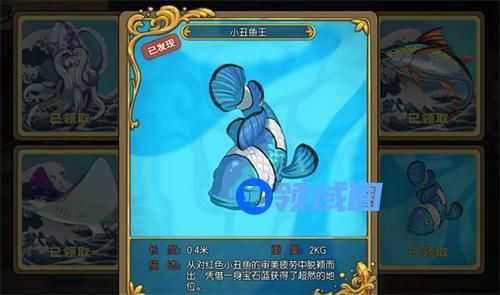 小森生活小丑鱼王怎么钓