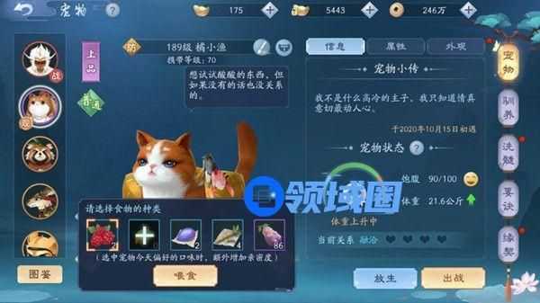 新笑傲江湖手游赤诚心奇遇怎么触发？任务完成步骤图文攻略[多图]图片3